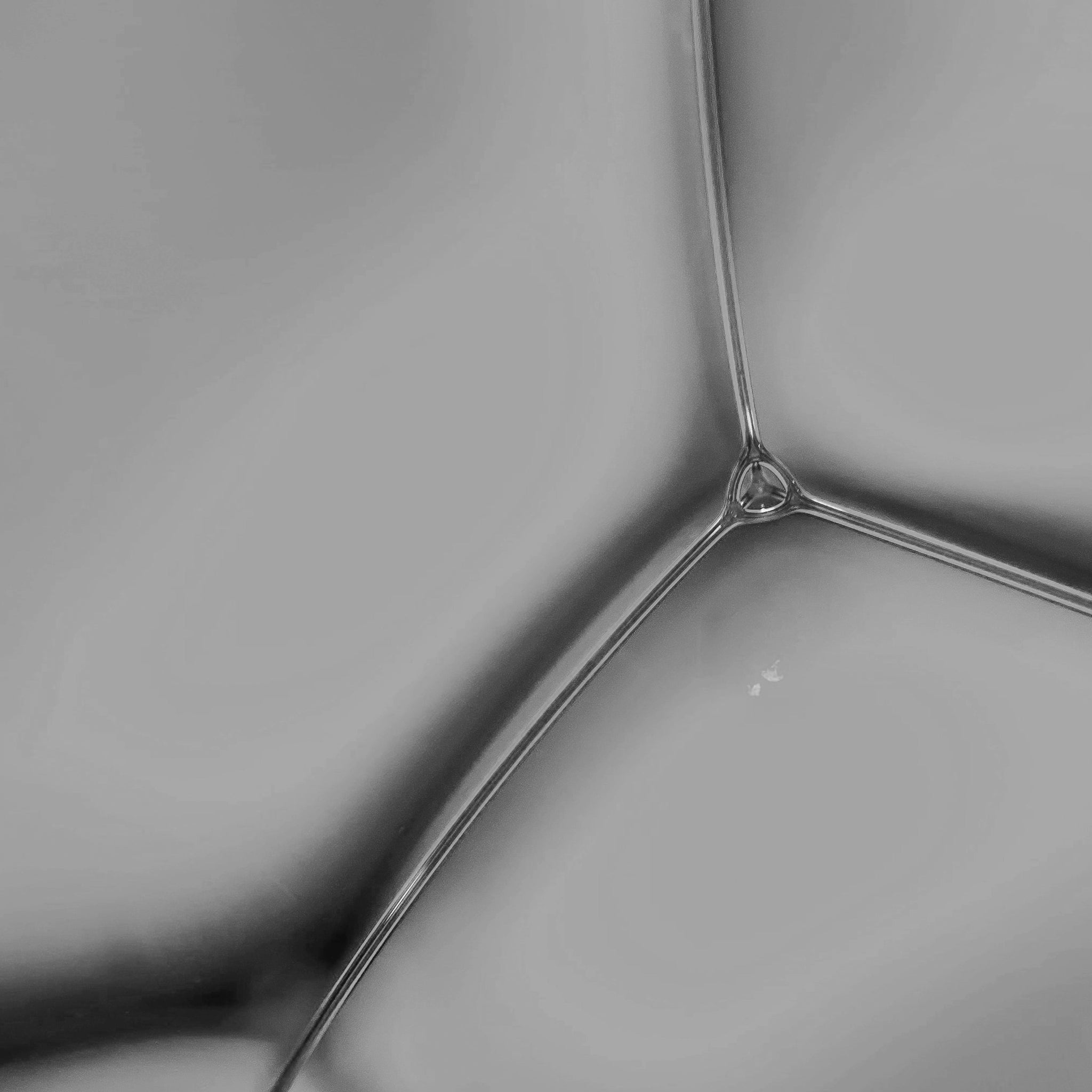 Cocamidopropyl betaine