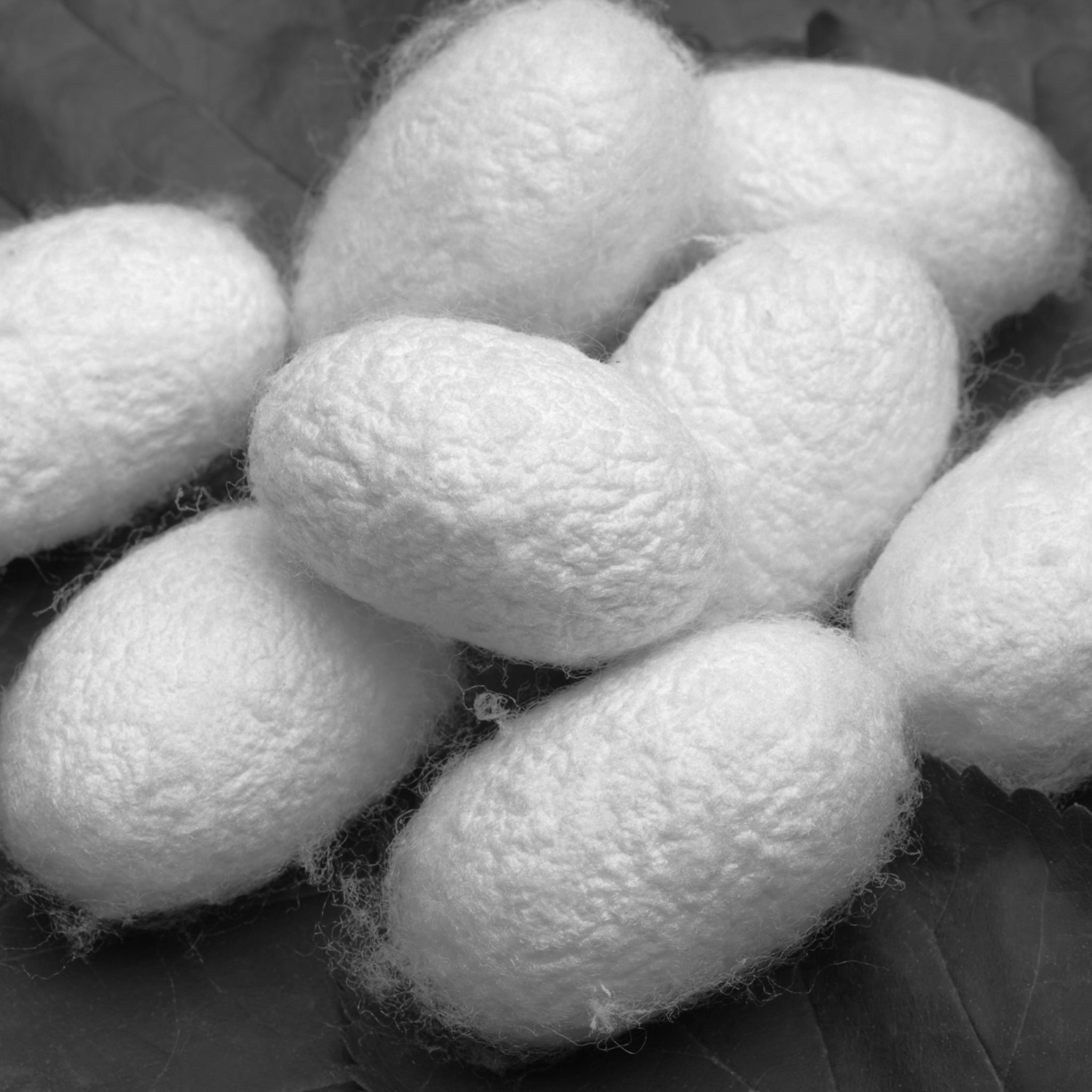 Hydrolized silk