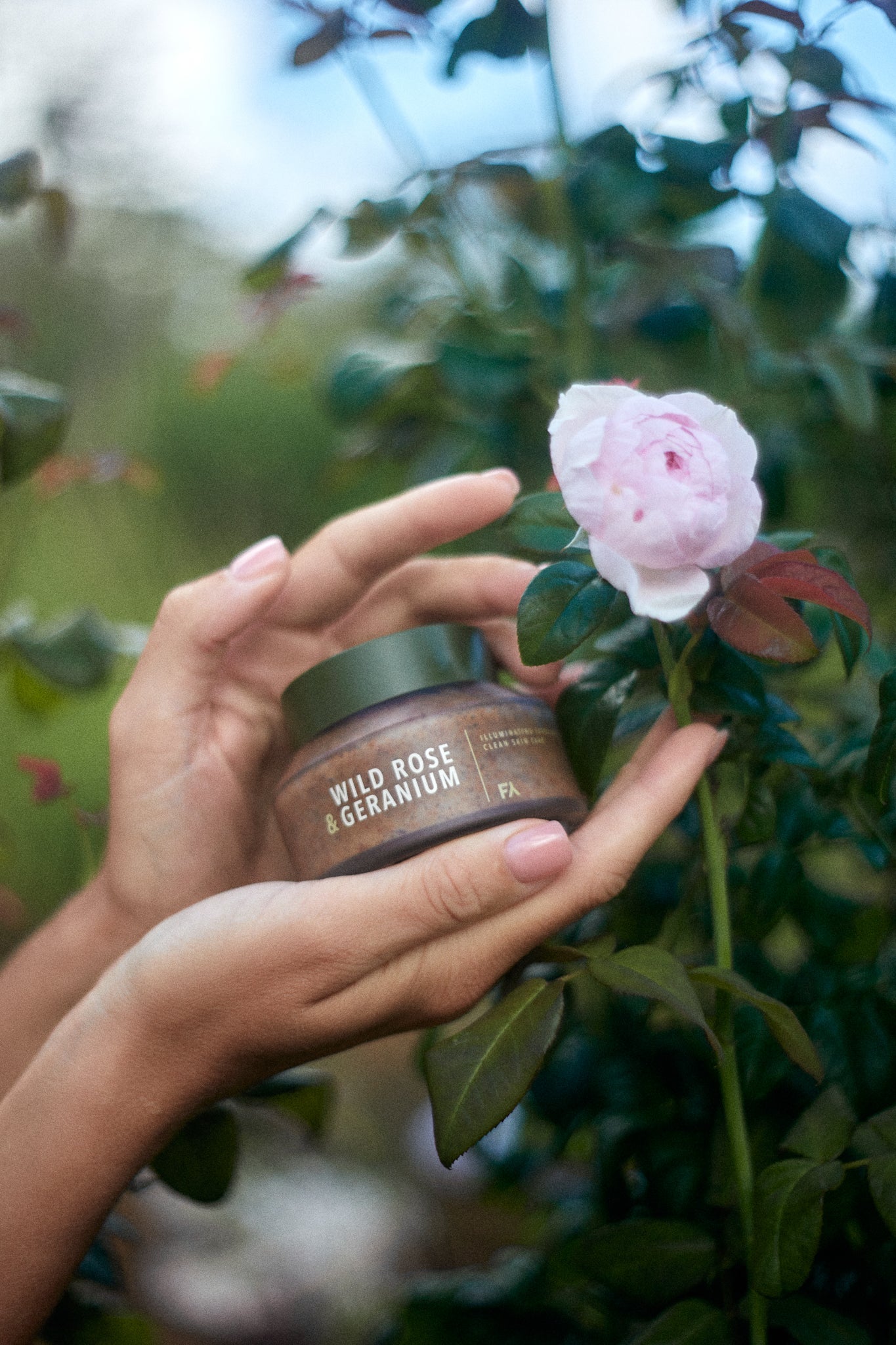 Picture of the Wild Rose & Geranium Illuminating Exfoliant by Fields of Yarrow held next to a wild rose flower